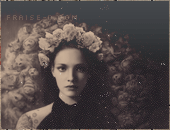 307.gif
