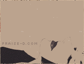 311.gif