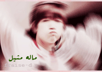319.gif