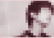 329.gif