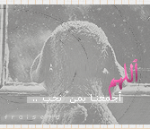 370.gif