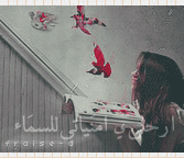 375.gif