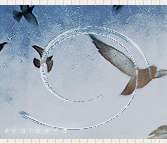 382.gif