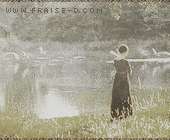 387.gif