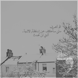 126.gif
