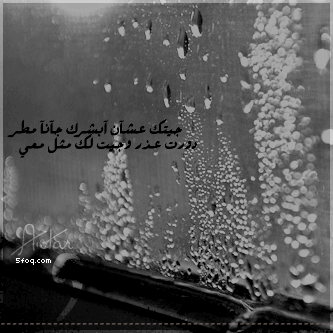 142.gif
