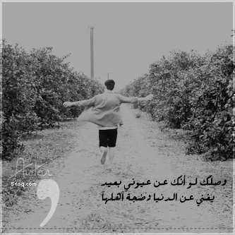 144.gif
