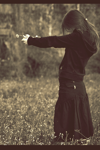 167.gif