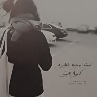 177.gif