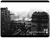 21.gif