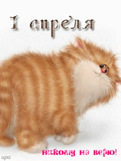 212.gif
