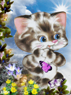 217.gif