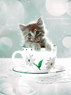 238.gif
