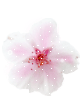 266.gif