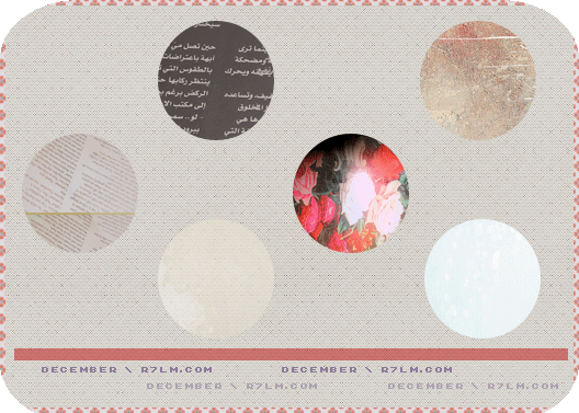 273.gif