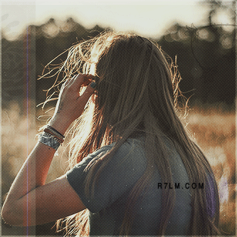 304.gif