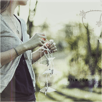 305.gif