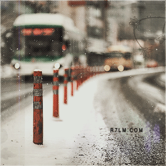 309.gif