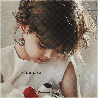 312.gif