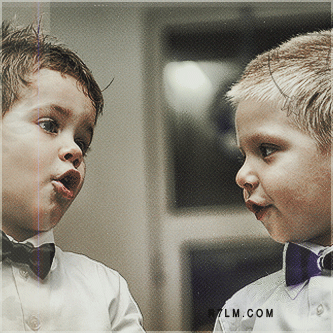 319.gif