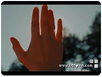 37.gif