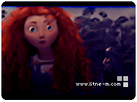41.gif