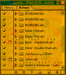 423.jpg