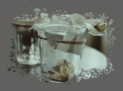 60.gif