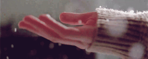 62.gif