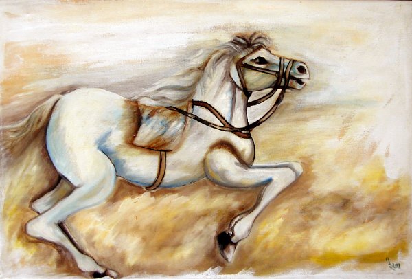 1046.jpg