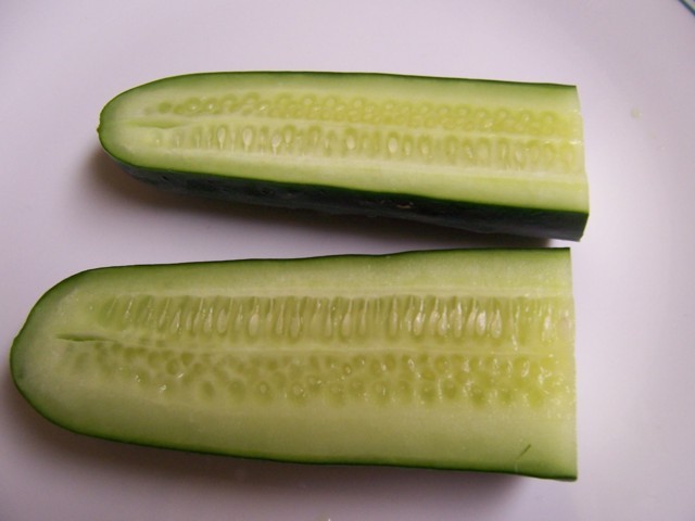 329.jpg
