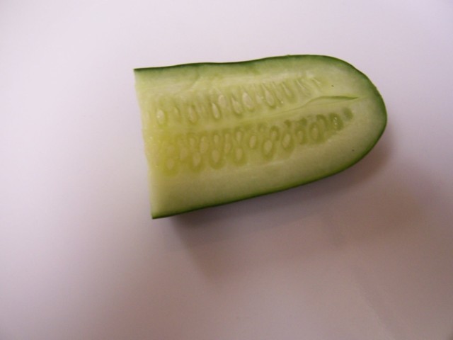 343.jpg