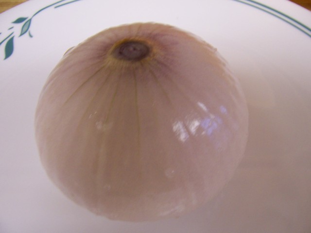 348.jpg