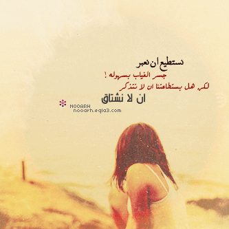 181.gif