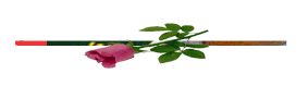 208.gif