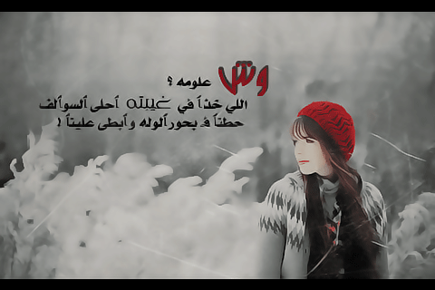 213.gif