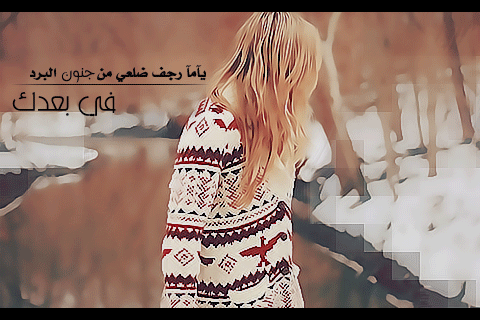 216.gif