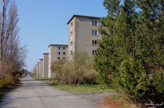 346.jpg