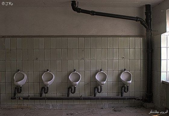 352.jpg