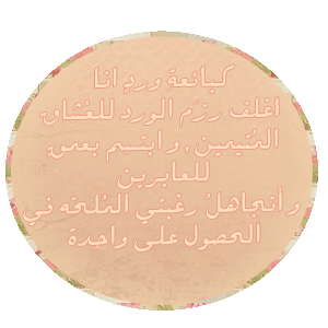 4.gif