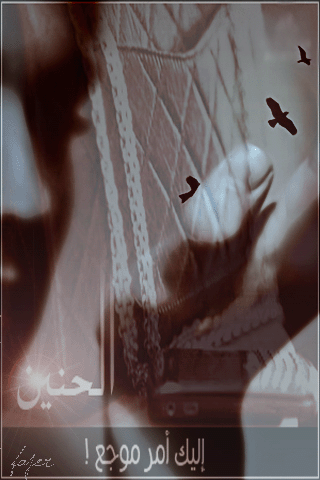 127.gif