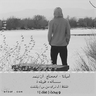 863.jpg