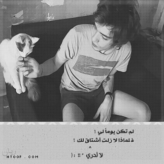 864.jpg