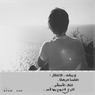 865.jpg