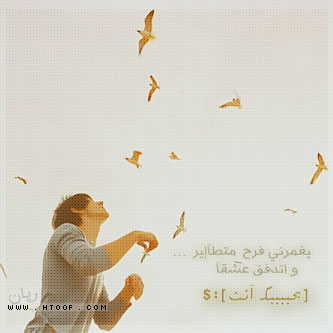 877.jpg