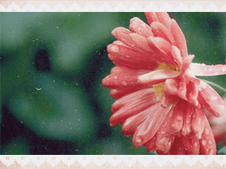 103.gif