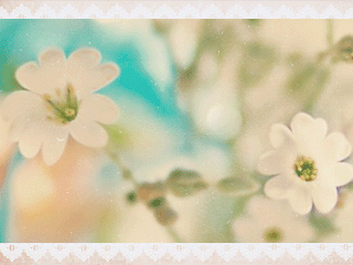 105.gif