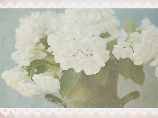 106.gif