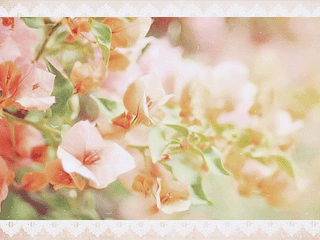109.gif