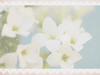 110.gif